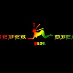 NEVER DIES PROD