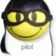 HouD_B12