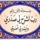 ShahidaNour