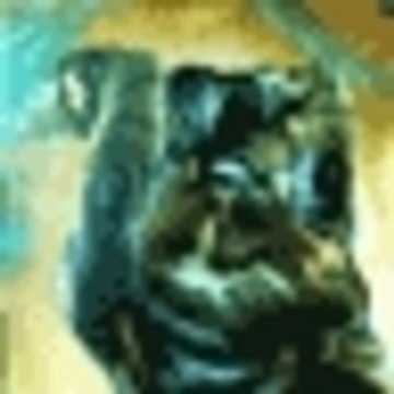 ironraziel