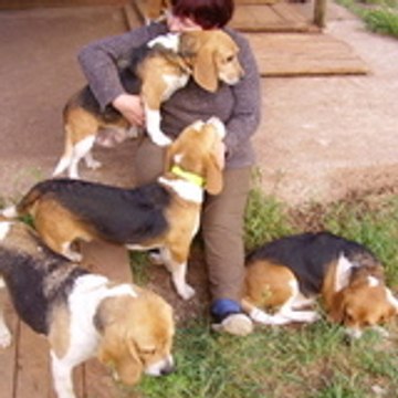 Cathy cartacatherine