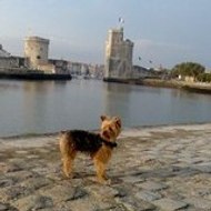 Martine-Diwan Fridlander