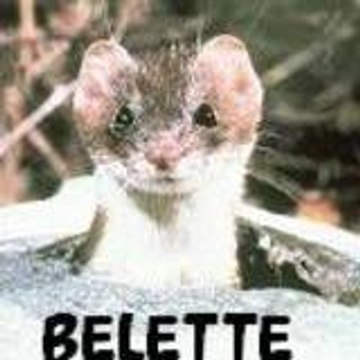 LaBeLeTTedu78
