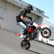 Maître Vins Vince Maître