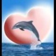 tinange22