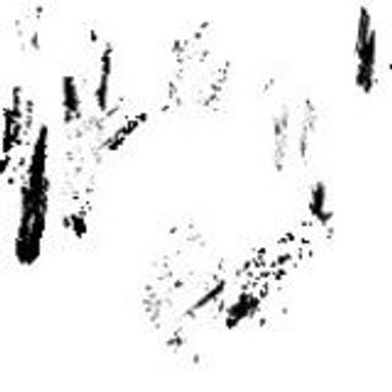 Lysergid