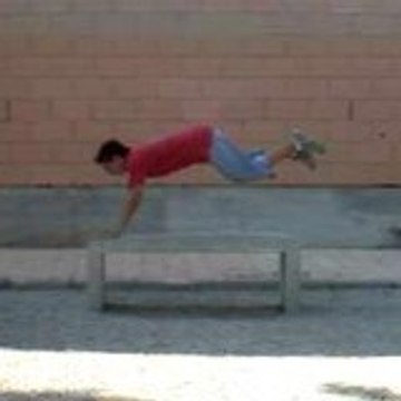 david