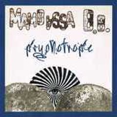 mambassa blouz band