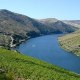 Videos_Portugal