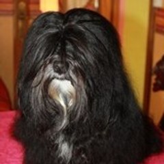 curly62