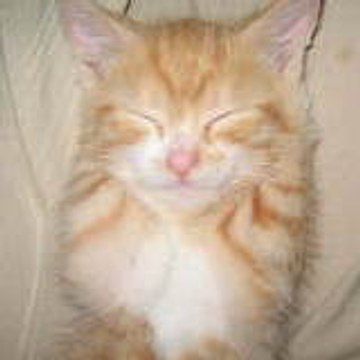 delcourt maria louisa