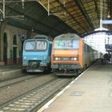 brubru8850