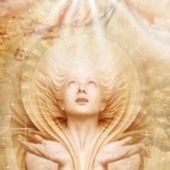 lilifloria