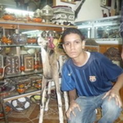 swyls
