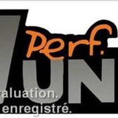 perf-unit