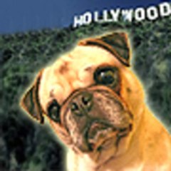 pugdogproductions