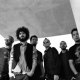fan-of-linkinpark