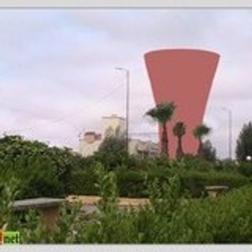 sotl9alb
