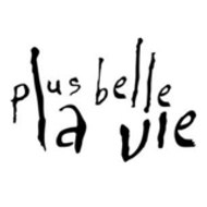 http //www.pblv-plusbellelavie.fr PBLV