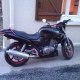 cats91580