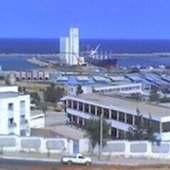 mourad769
