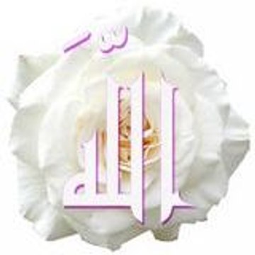 groupe essalam