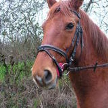 huranne