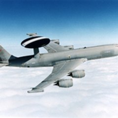 jabiru100