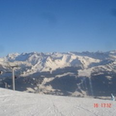 speedy_caucau