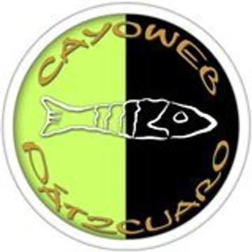 Cayoweb