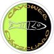 Cayoweb