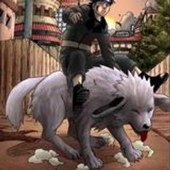 thekiller75