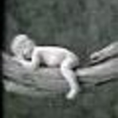 body194