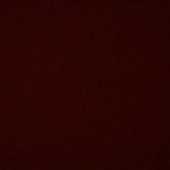 shiest_D