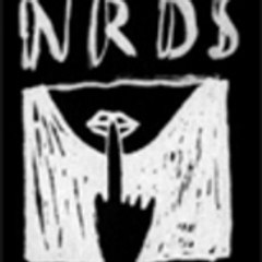 Team NRDS