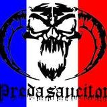 Predasaucitor