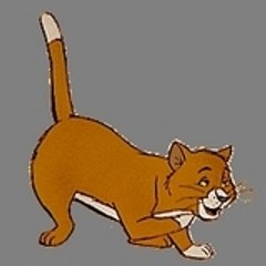 omalley1981