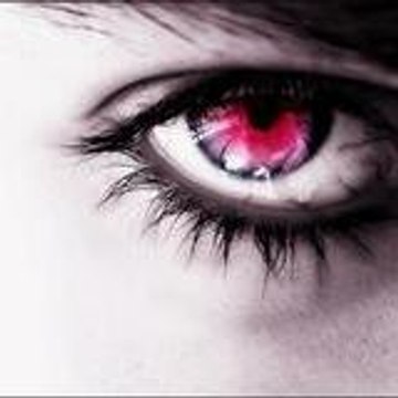 *°Oo.O°* *°Oo.O°*