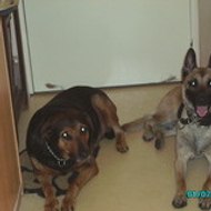 sahbi xxxxxxxxxxxxxxxxxxx