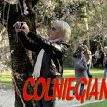 Profil DailyMotion de l&rsquo;utilisateur colniegian Jipe