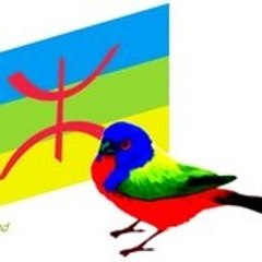 amazigh