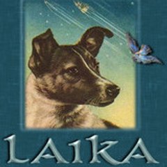 Laika_59