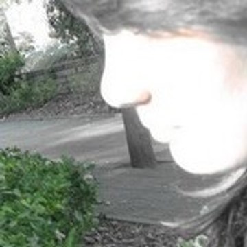 lilaali