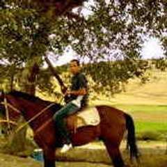 walid1313
