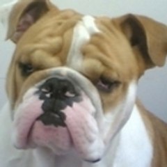 mamalo_76