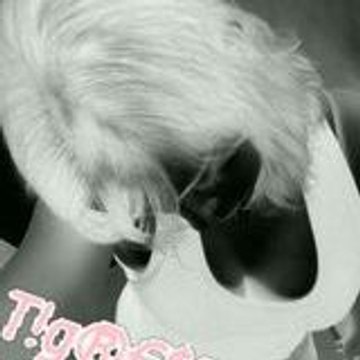 tigre_blanc