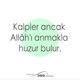 Radyo Vatan