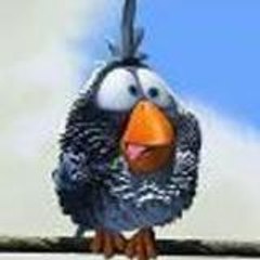 Cristobal