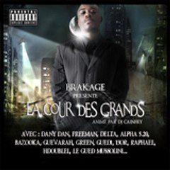 BRAKAGE BRAKAGE