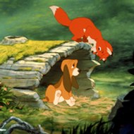 ·٠•● Florian S. ●•٠·